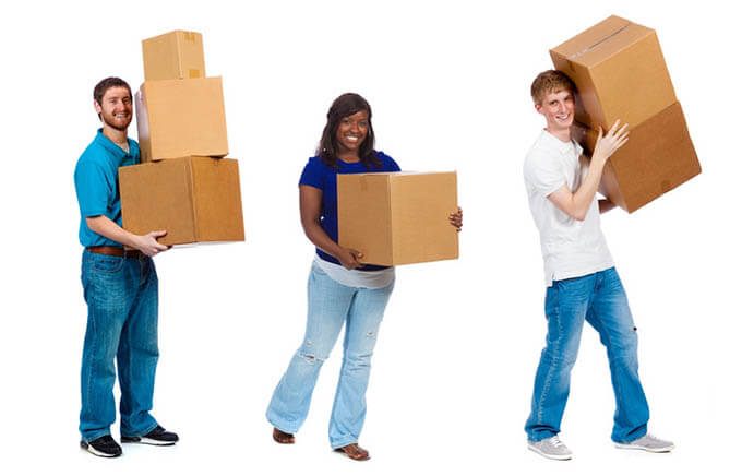 manual handling training vindoc