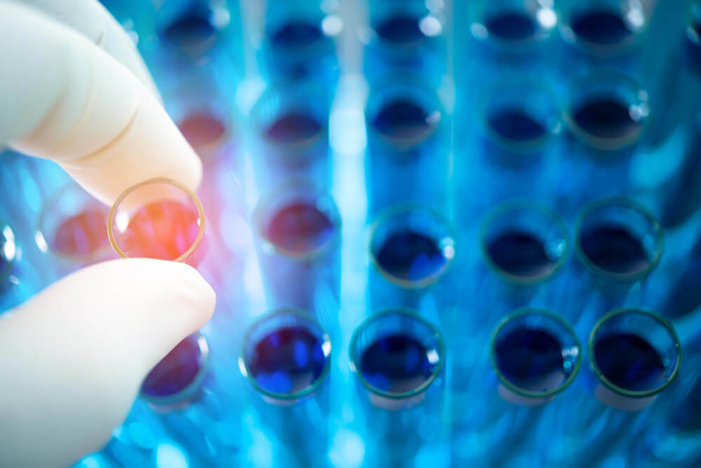 talking longevity 40 1755195123