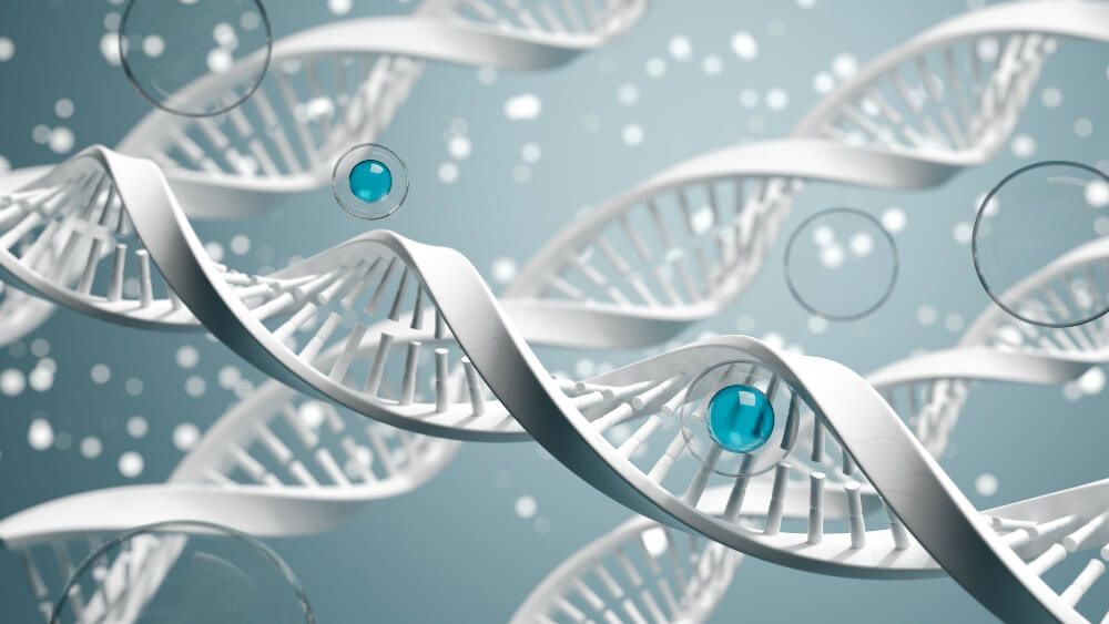 talking longevity 56 1755031471