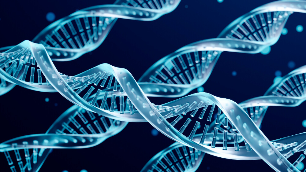 talking longevity 57 1755000355