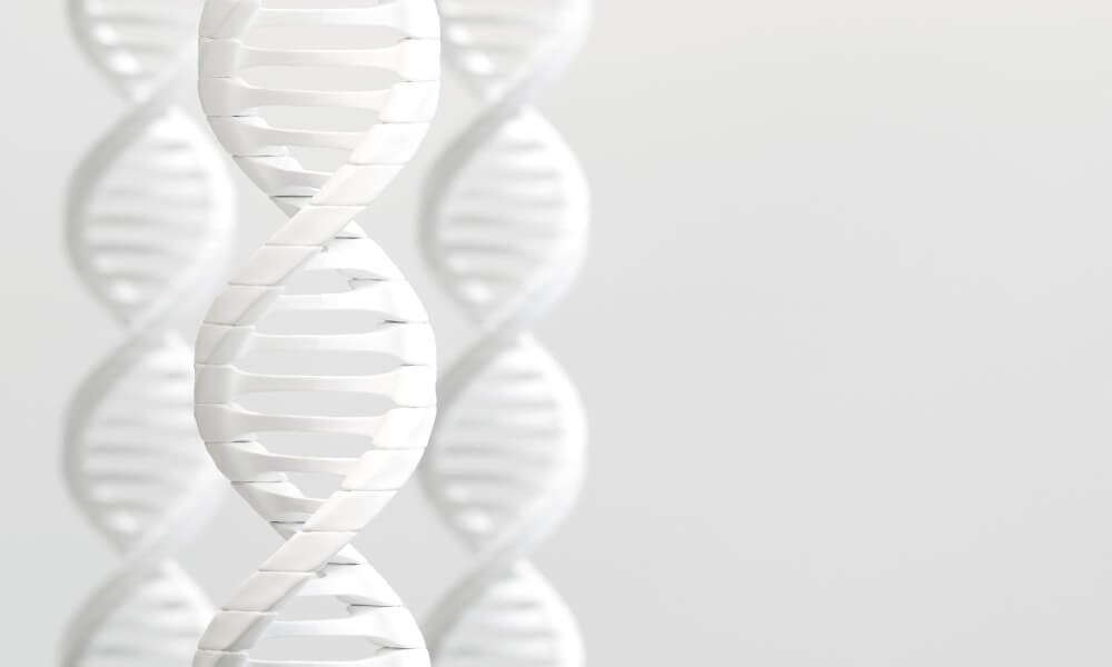 talking longevity 6 1754949224